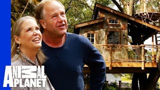 Top 5 Outdoor Adventure Treehouses! by Animal Planet