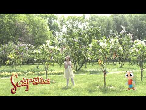 Nicoleta Bejenari   (Ruga)