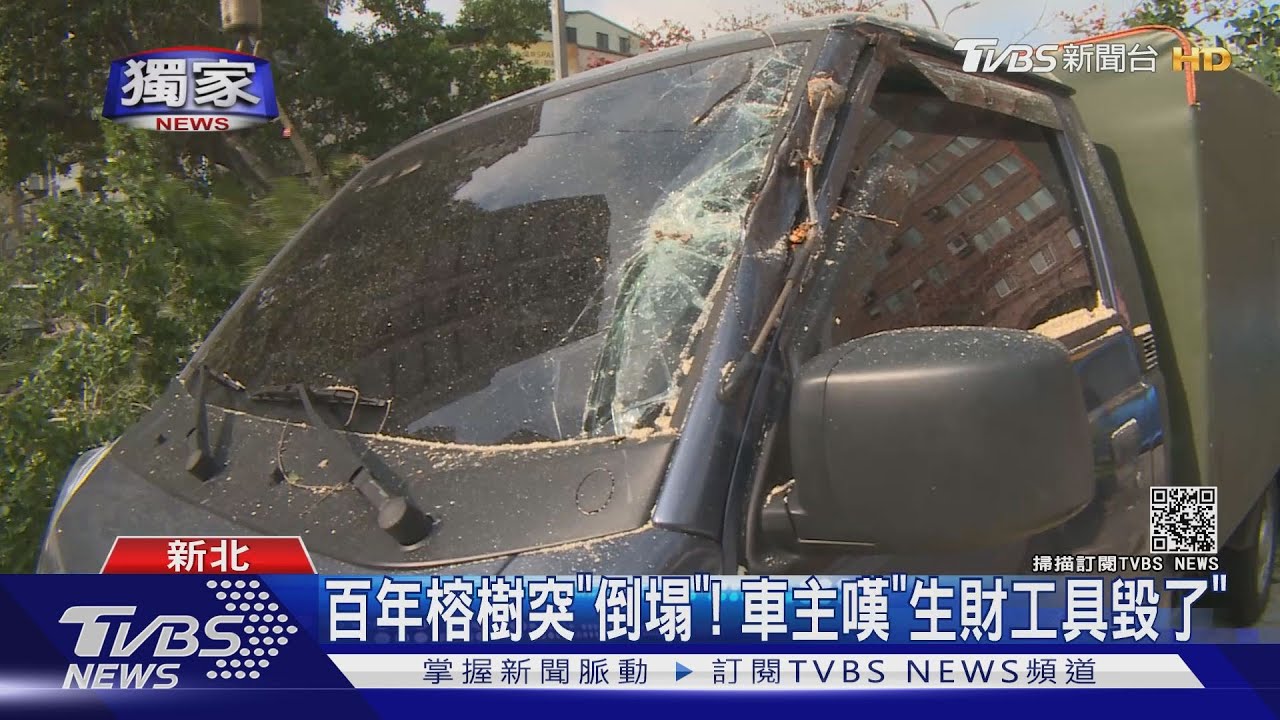 根本躲不掉！百年榕樹突倒塌　壓傷車主3車全毀
