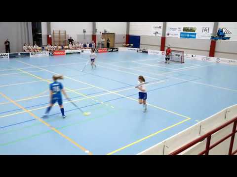 BTSM 2. puolivälierä Blue Fox - EräViikingit, Uusikaarlepyy