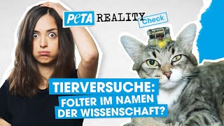 Tierversuche – unmoralisch oder notwendig?