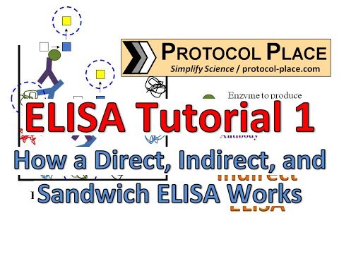 ELISA Tutorial 1: How a Direct, Indirect and Sandwich ELISA Works