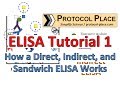 ELISA Tutorial 1: How a Direct, Indirect and ...