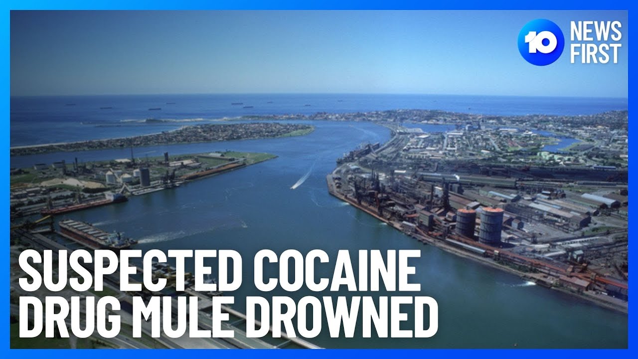 Suspected Cocaine Drug Mule Drowned In Newcastle Port New South Wales | 10 News First