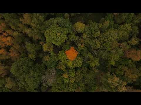 Ooyy smartface Mikhail Kobak