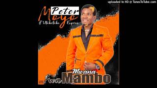 Download lagu Peter Dewa Moyo - Ndiwe Urikupisa. ( Audio 2023.) mp3