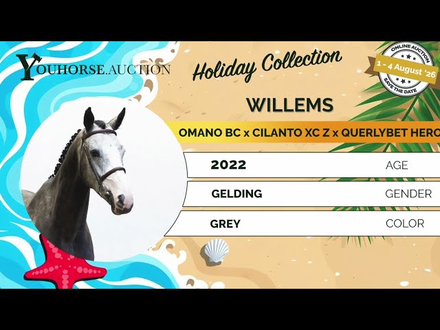 Willems