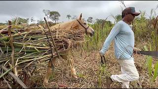 FOI PARA PORTUGAL MAS VOLTOU ÀS ORIGENS - NOVO CRUZEIRO MG