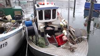 Möwe ärgert sich entdeckt bei unserer Philosophischen Bildwanderung Timmendorfer Strand - Brodtener Steilufer - Travemünde Ostsee