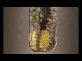 Bit and Mud 3D Explainer Animation | Drill Bit Animation | Downhole Drilling | Downhole Oil and Gas