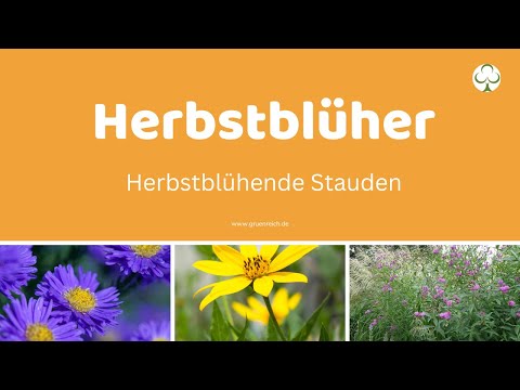 Was blüht im Herbst | Die Herbstblüher unter den Stauden