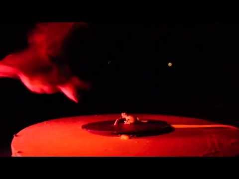 Bellowing frogs make easy prey for bats | Science News