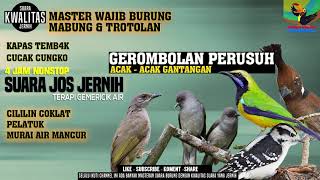 Download lagu katem cungko pelatuk cililin murai air mancur mp3