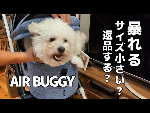 ビションボロネーゼ