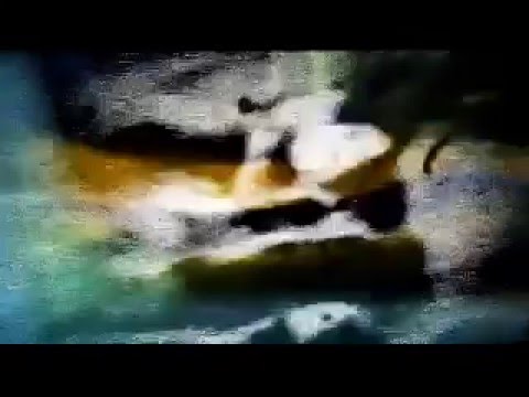 ALXSML - Glockenspiel