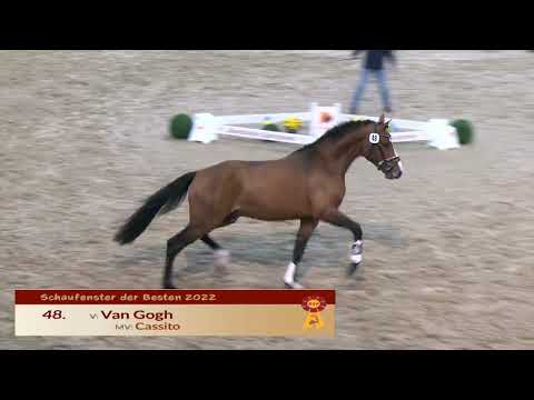 48 --- Van Gogh - Cassilo - Graf Top