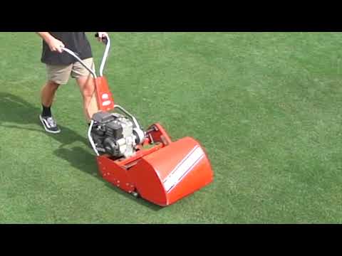 Reč struke ep. 248 23.04.2019. NAJAVA