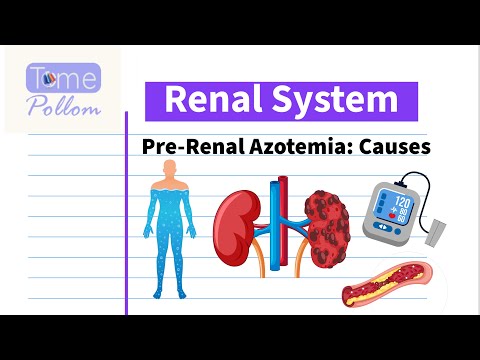 Renal System 4 - Causes of Pre-Renal Azotemia