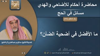 ما الأفضل في أضحية الضأن؟ | الشيخ صالح آل الشيخ image