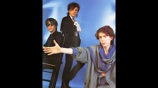 The Psychedelic Furs Shine 2024 Sound Mix