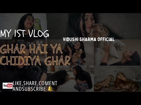 Ghar hai ya chidiya ghar || Mini zoo at home || 1st vlog || vidushi Sharma official || vlog || pets
