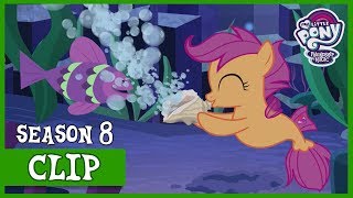 The World Of The Seaponies (Surf and/or Turf) | MLP: FiM [HD]