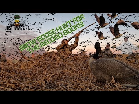 Spring Snow Goose Hunt For The Record Books!