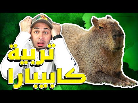 , title : 'طريقة تربية كابيبارا أو خنزير الماء وكل شي بتحتاجه للعناية فيه - Capybara Care Routine'