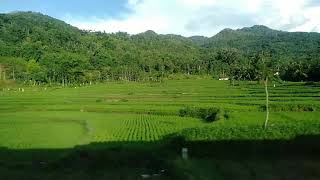 Download lagu pesona pemandangan dari dalam kereta api pangandaran mp3