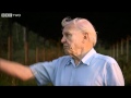 Documentary Nature - Attenborough and the Giant Egg