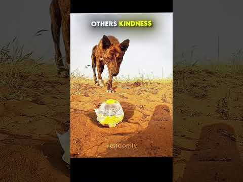 Other People's Kindness VS This Guy 🥹💗