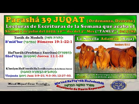 Parashá 39 JUQAT (Ordenanza, Decreto). Shabat 9 de julio del 2022.