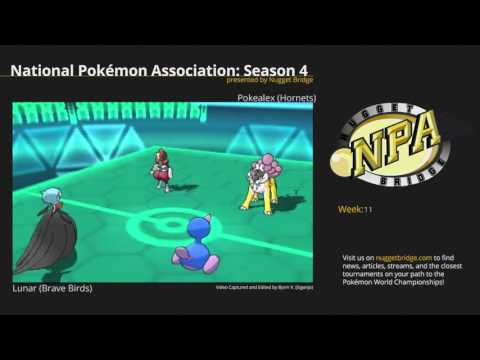NPA 4 Week 11 - Lunar (Brave Birds) vs Pokealex (Hornets)