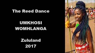 The Zulu Reed dance 2017