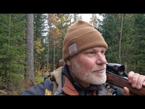 Älgjakt I Bastfallet - 2025 - Moose Hunting