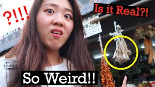 Strange Korean Food in Busan🚂