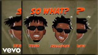 Tekno, Shallipopi - So What? (Official Audio)