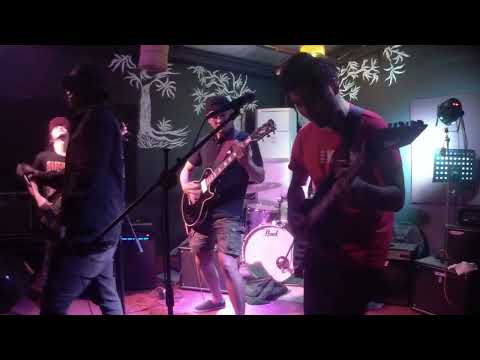 7Drybears - Bula (Live)