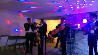 Paloma Negra -Rosita y su Mariachi-
