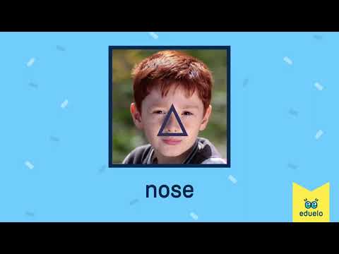 Body parts (Części ciała) - Klasa I - Angielski z Eduelo