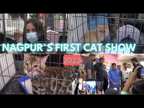 First time Cat Show at Nagpur & India 2022 I Yusuf pathan Cricketer Our Chief guest I Pets Vlogs