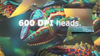 Duplo DDC-810PRO Product overview