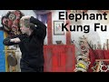 Elephant Form Choy Li Fut Kung Fu Master Lohan Sifu