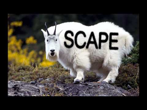 THE SCAPEGOATS - Uncle Merv's Shed - FULL ALBUM