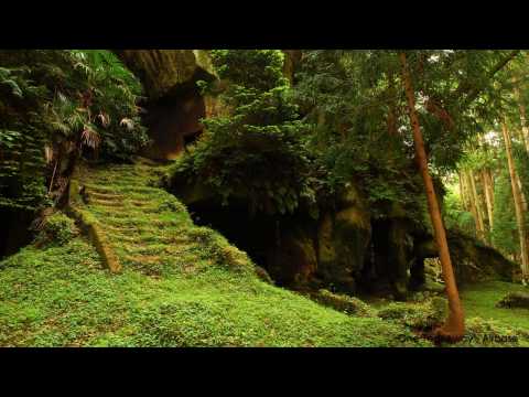 [HD] Airbase - One Tear Away