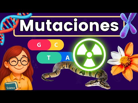 Mutaciones 🧬