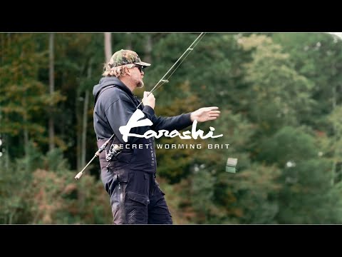 KARASHI | Beyond the Surface