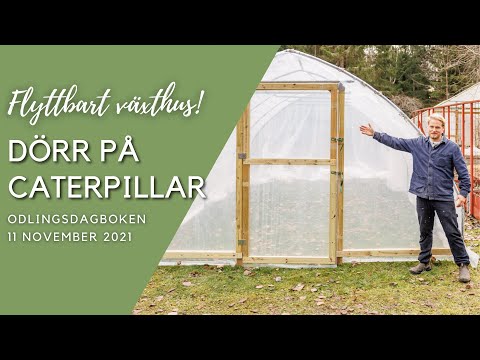 Dörr på caterpillar, Lökjärn och vinterodling i tunnelväxthuset - Odlingsdagboken 2021-11-11