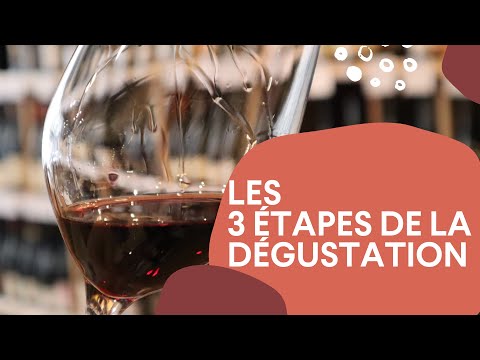 LES 3 ÉTAPES DE LA DÉGUSTATION