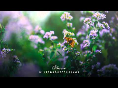 Airsun - Butterfly (Original Mix)